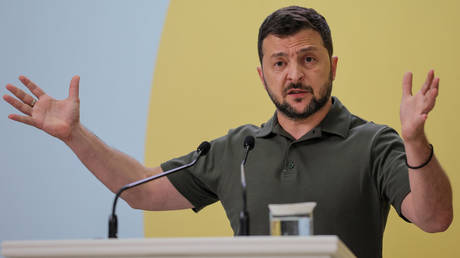 Ukraine's President Vladimir Zelensky speaks during a press conference after the opening session of Crimea Platform summit in Kiev.