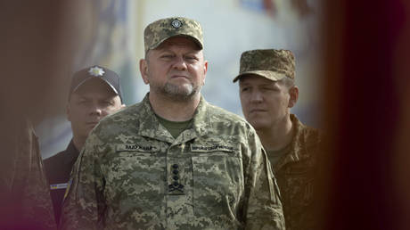 FILE PHOTO: Ukrainian Armed Forces Commander Gen. Valery Zaluzhny