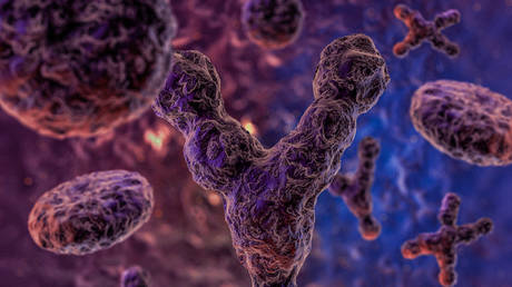 Y chromosome fully sequenced