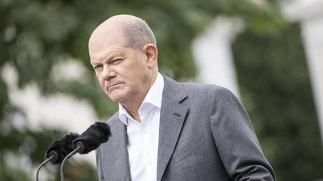 Scholz wants ‘immediately effective’ weapons for Ukraine