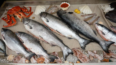 FILE PHOTO: Fish and seafood caught in Russia's Far East.