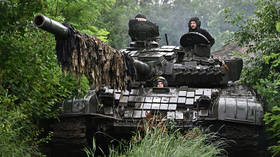‘Shrubs’ hindering Ukrainian counteroffensive – UK military