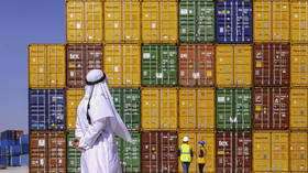 Russia-UAE trade ‘skyrocketing’ – Bloomberg