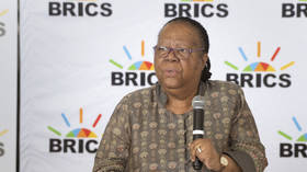 South Africa to host over thirty heads of state at BRICS summit