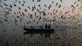 Indian photographer wins Andrei Stenin photo contest