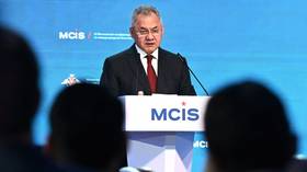 Some Soviet weaponry still better than modern Western equivalents – Shoigu