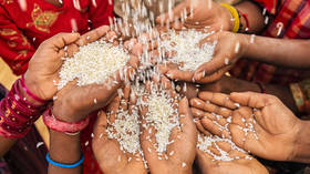 India asked to resume rice exports – report