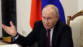 Putin urges investment growth in Russia