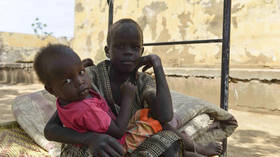 Hundreds of children starving to death in Sudan – aid group