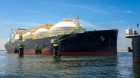 EU set to import record volume of Russian LNG – data