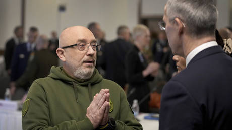 FILE PHOTO: Ukrainian Minister of Defense Oleksii Reznikov gestures as he talks to Secretary General of NATO Jens Stoltenberg at Ramstein Air Base in Germany, Friday, January 20, 2023