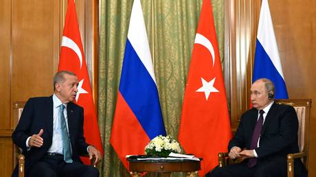 ‘Whole world’ watching talks with Putin – Erdogan