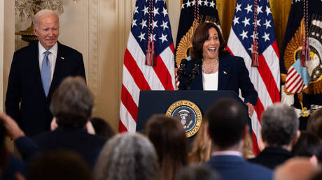 US Vice President Kamala Harris speaks during a White House event last week.