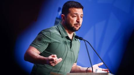 FILE PHOTO: Ukrainian President Vladimir Zelensky speaks at a press conference during the NATO summit in Lithuania