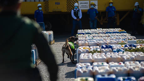 Cocaine set to become Colombia’s biggest export – Bloomberg