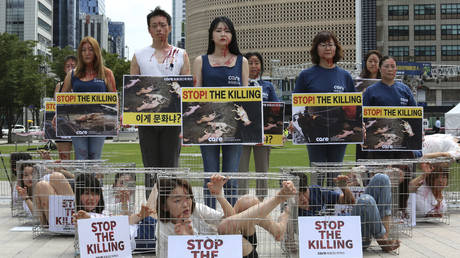 FILE PHOTO: South Korean animal rights activists, Seoul, August 11, 2017