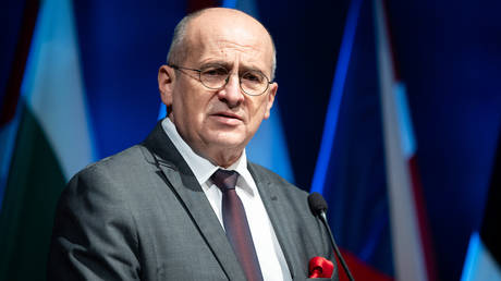 Polish Foreign Minister Zbigniew Rau