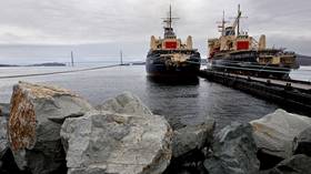 Russia delivers first LNG to China via Arctic – Reuters