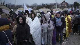 Nearly 10 million Ukrainians have fled to EU – commissioner
