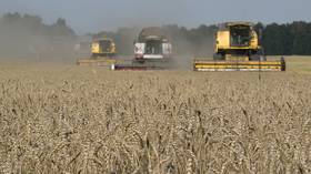 ‘Exceptional’ Russian harvest lowers global wheat prices – FT