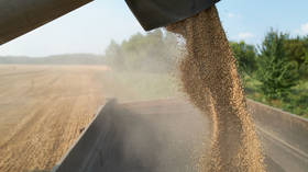 EU country resolves grain import dispute with Ukraine – Reuters
