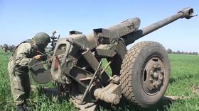 Concealed mortar obliterated in Russian howitzer strike (VIDEO)