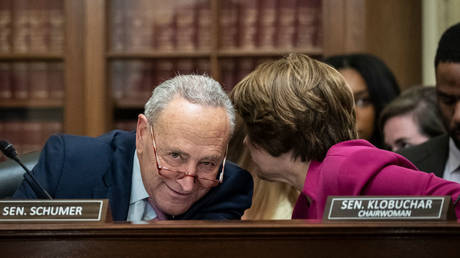 US Senate Majority Leader Chuck Schumer listens to a colleague during a committee hearing last month in Washington.