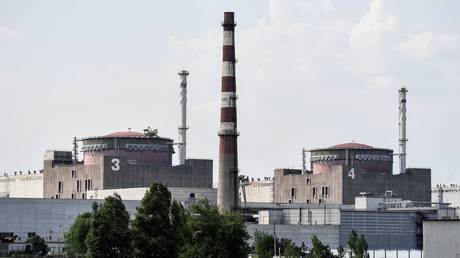 FILE PHOTO: The Zaporozhye nuclear power plant in Energodar