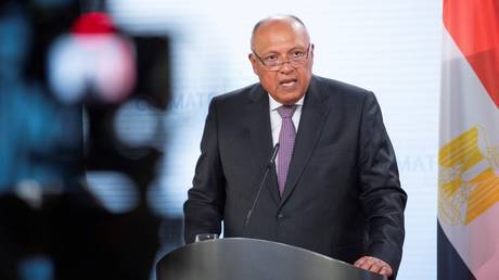 Egyptian Foreign Minister Sameh Shoukry.
