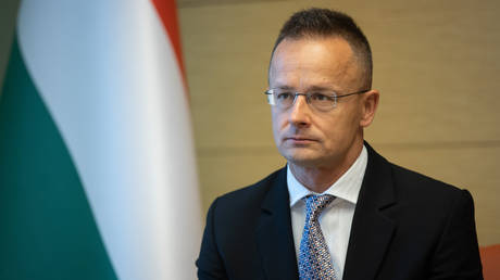 Partnership with Russia in Hungary's national interest – FM