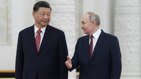 Russian President Vladimir Putin meets with China's President Xi Jinping at the Kremlin in Moscow.