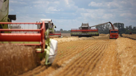 Agricultural workers operate combines during wheat harvesting in the fields of Krasnodarskoe company in Krasnodar region, Russia.