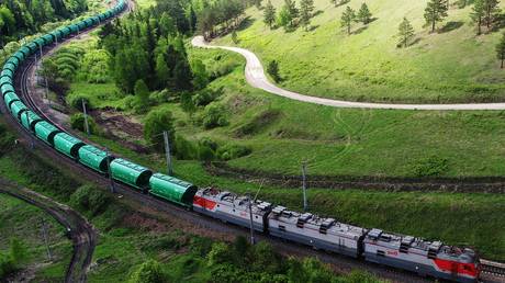 Russian food exports to DR Congo set to rebound dramatically &ndash; report