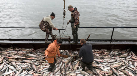 Russia plans to take advantage of China’s Japanese seafood ban