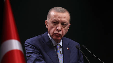 Erdogan urges Israel to end its ‘madness’