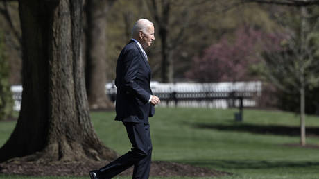 US jets intercept civilian plane near Biden's residence