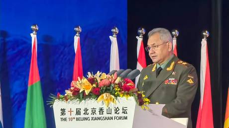 Russian Defense Minister Sergei Shoigu delivers speech at the Beijing Xiangshan Forum