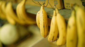 UK to finally scrap EU ‘bendy bananas’ rule
