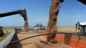 Largest buyer of Russian grain named