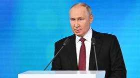 Construction of Russian nuclear power plant in Egypt ahead of schedule – Putin