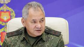 Russian MOD chief estimates Ukrainian counteroffensive losses