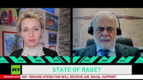 State of rage? Amal Abou Zeid, former member of the Lebanese Parliament