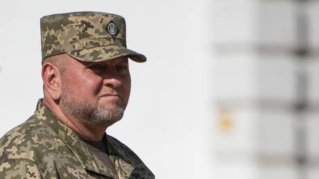 FILE PHOTO: The commander-in-chief of the Ukrainian Armed Forces, Valery Zaluzhny.
