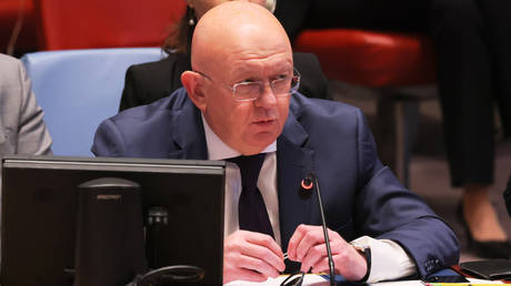 Permanent Representative of Russia to the United Nations Vassily Nebenzia