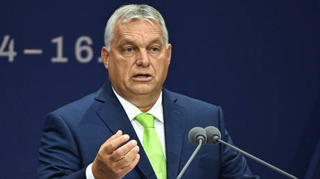 Hungarian Prime Minister Viktor Orban addresses the 5th Demographic Summit in the Fine Arts Museum in Budapest on September 14, 2023.