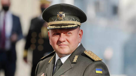  The commander-in-chief of the Ukrainian Armed Forces Valery Zaluzhny.