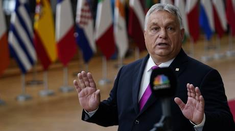 Orban sizes up chances of Ukraine joining EU