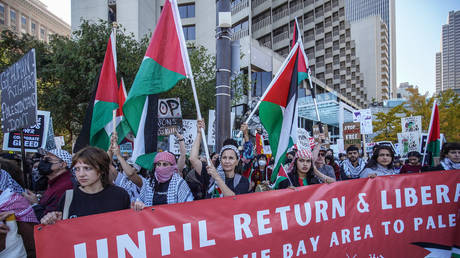 Pro-Palestine protests ‘anti-Semitic’ – Israeli ambassador — RT World News