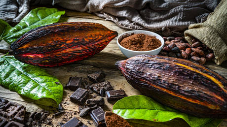 Kakaopreise nahe 50-Jahres-Höchststand – RT Business News