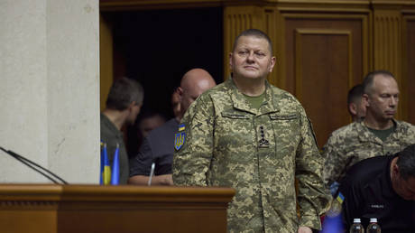 FILE PHOTO: Ukrainian top military commander, General Valery Zaluzhny